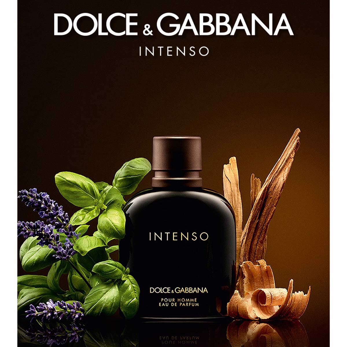 Dolce & Gabbana Pour Homme Intenso EDP – Viet's House